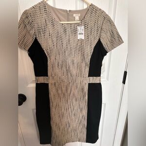 J. Crew Black and Cream Textured Dress